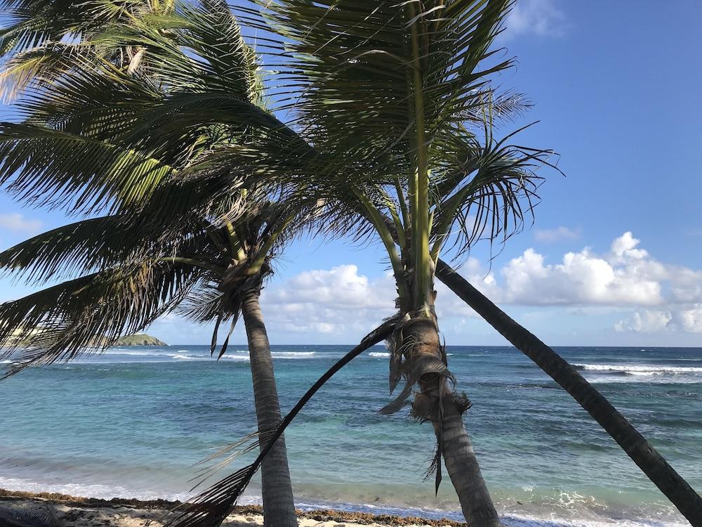 The Palms At Pelican Cove (Adults Only) La Grande Princesse Exterior photo